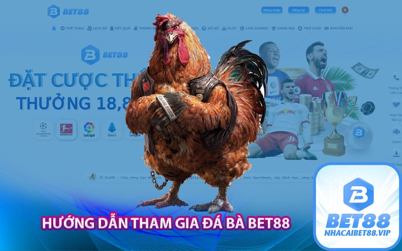 Hướng dẫn tham gia đá bà Bet88